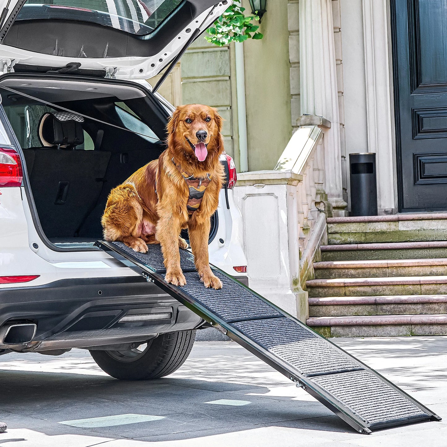 CWAWZ Collapsible Dog Ramp For Car 200Lb CapacityPlus