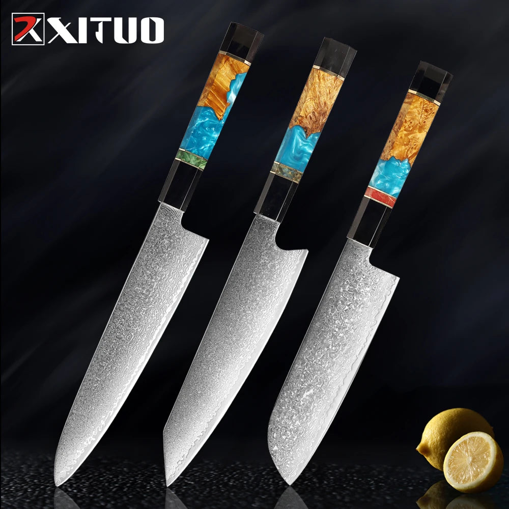 XITUO Damascus Steel Knife Set 1-5Pcs,Japanese Chef Knife,Super Sharp Kitchen Knives with Black Cow Horn Octagonal Handle
