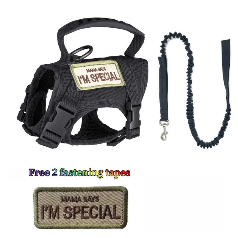 High-concerned Cat Tactical Harness And Leash Set For Walking