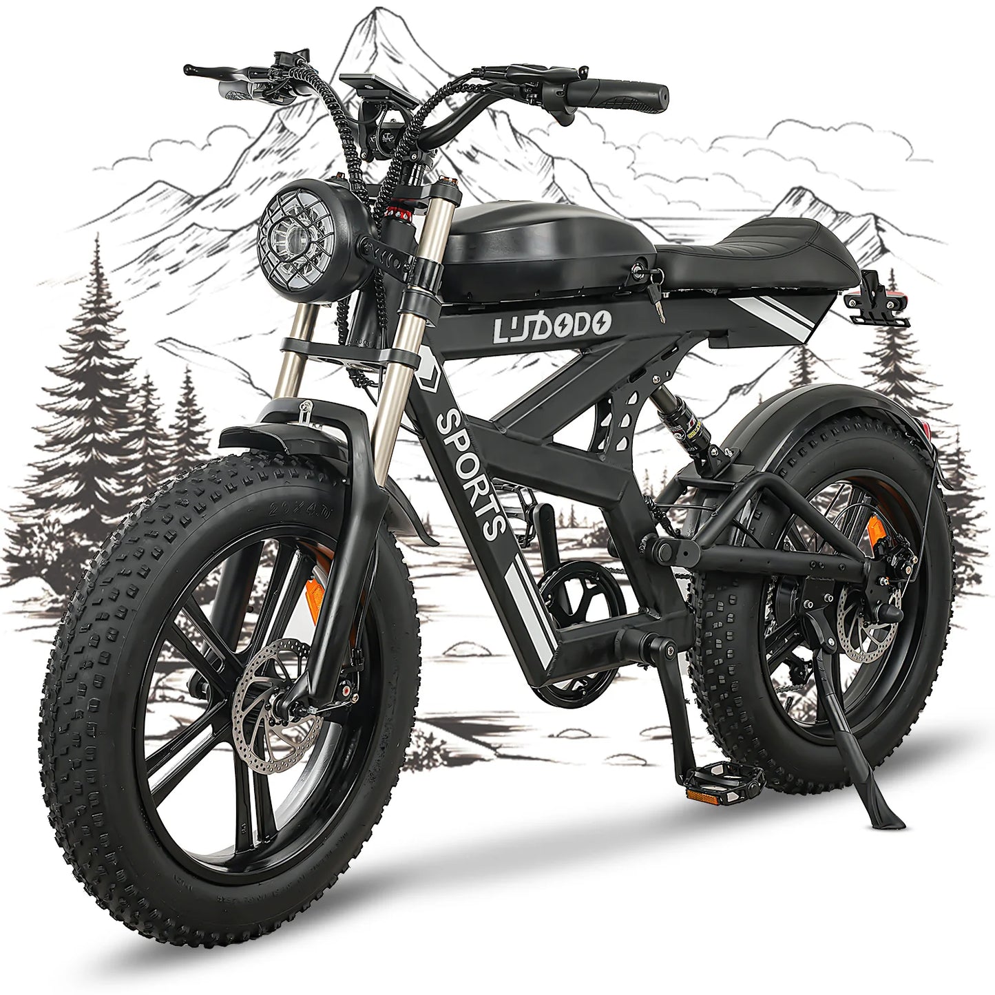 Max Speed AK2 Electric Fat Tire Bike 750W48V HighPerf