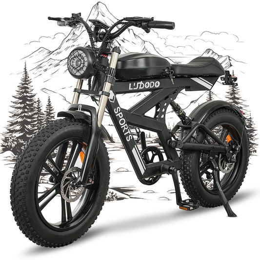 Max Speed AK2 Electric Fat Tire Bike 750W48V HighPerf