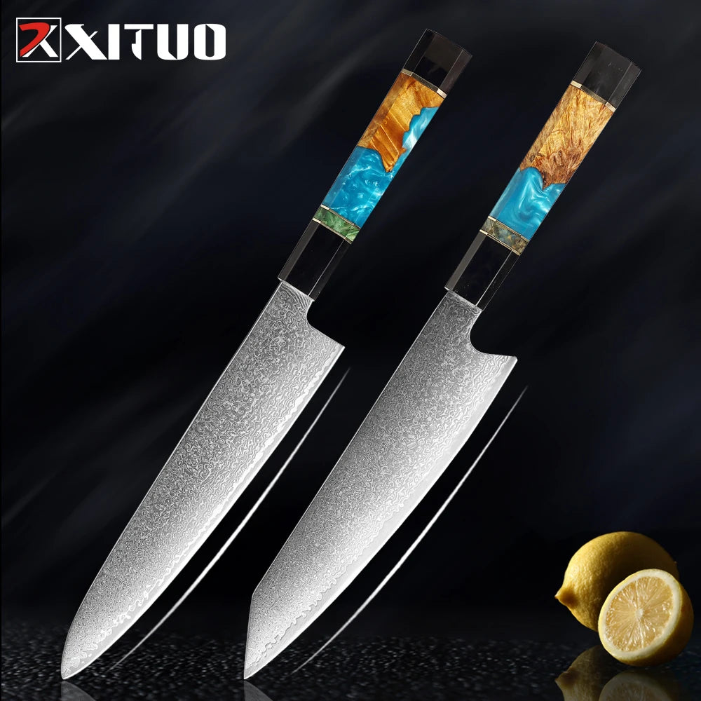 XITUO Damascus Steel Knife Set 1-5Pcs,Japanese Chef Knife,Super Sharp Kitchen Knives with Black Cow Horn Octagonal Handle