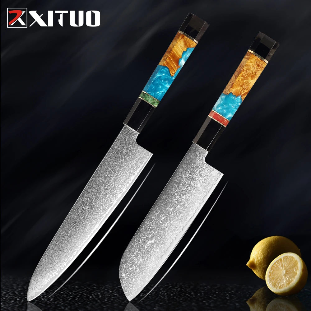 XITUO Damascus Steel Knife Set 1-5Pcs,Japanese Chef Knife,Super Sharp Kitchen Knives with Black Cow Horn Octagonal Handle