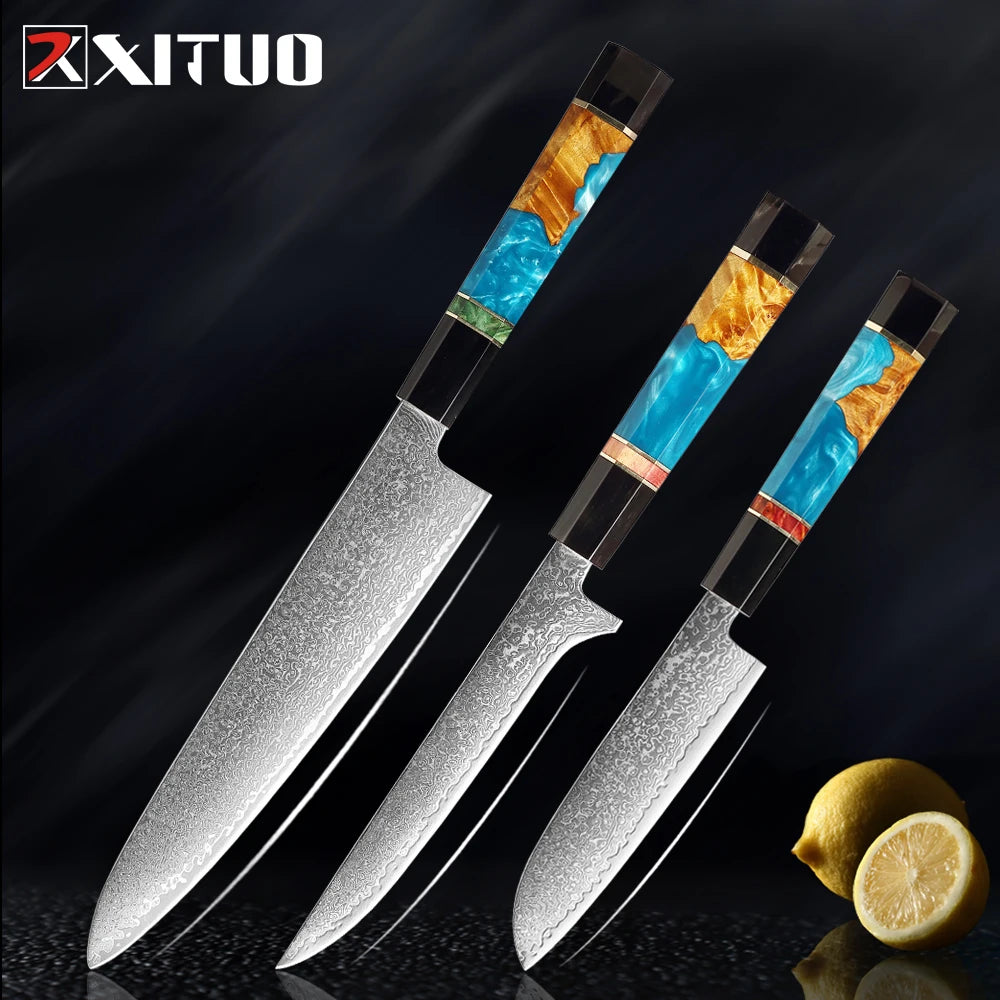 XITUO Damascus Steel Knife Set 1-5Pcs,Japanese Chef Knife,Super Sharp Kitchen Knives with Black Cow Horn Octagonal Handle