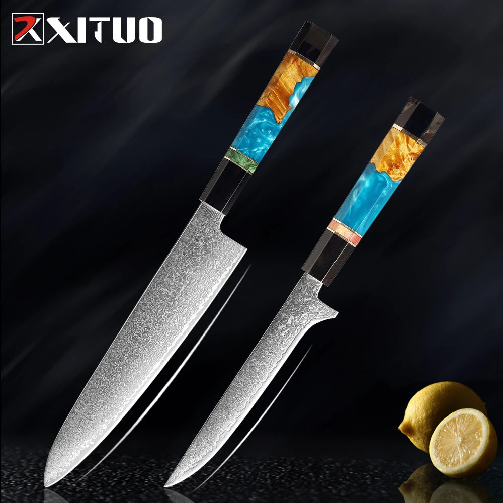 XITUO Damascus Steel Knife Set 1-5Pcs,Japanese Chef Knife,Super Sharp Kitchen Knives with Black Cow Horn Octagonal Handle