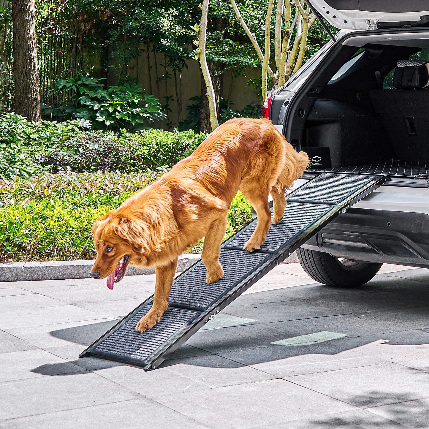 CWAWZ Collapsible Dog Ramp For Car 200Lb CapacityPlus