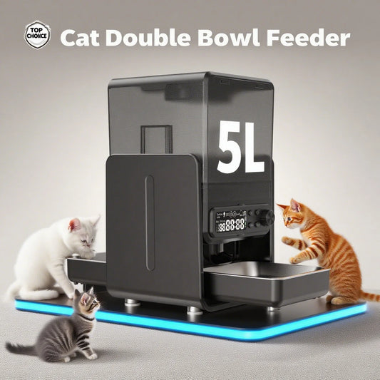 Cityflee Timed Automatic Pet Feeder For Cats And Dogs