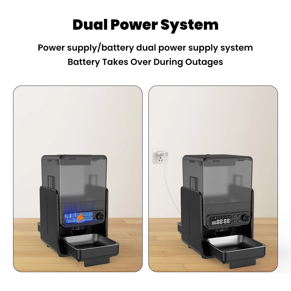 Cityflee Timed Automatic Pet Feeder For Cats And Dogs