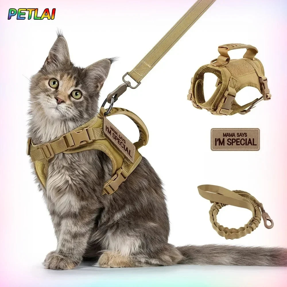 High-concerned Cat Tactical Harness And Leash Set For Walking
