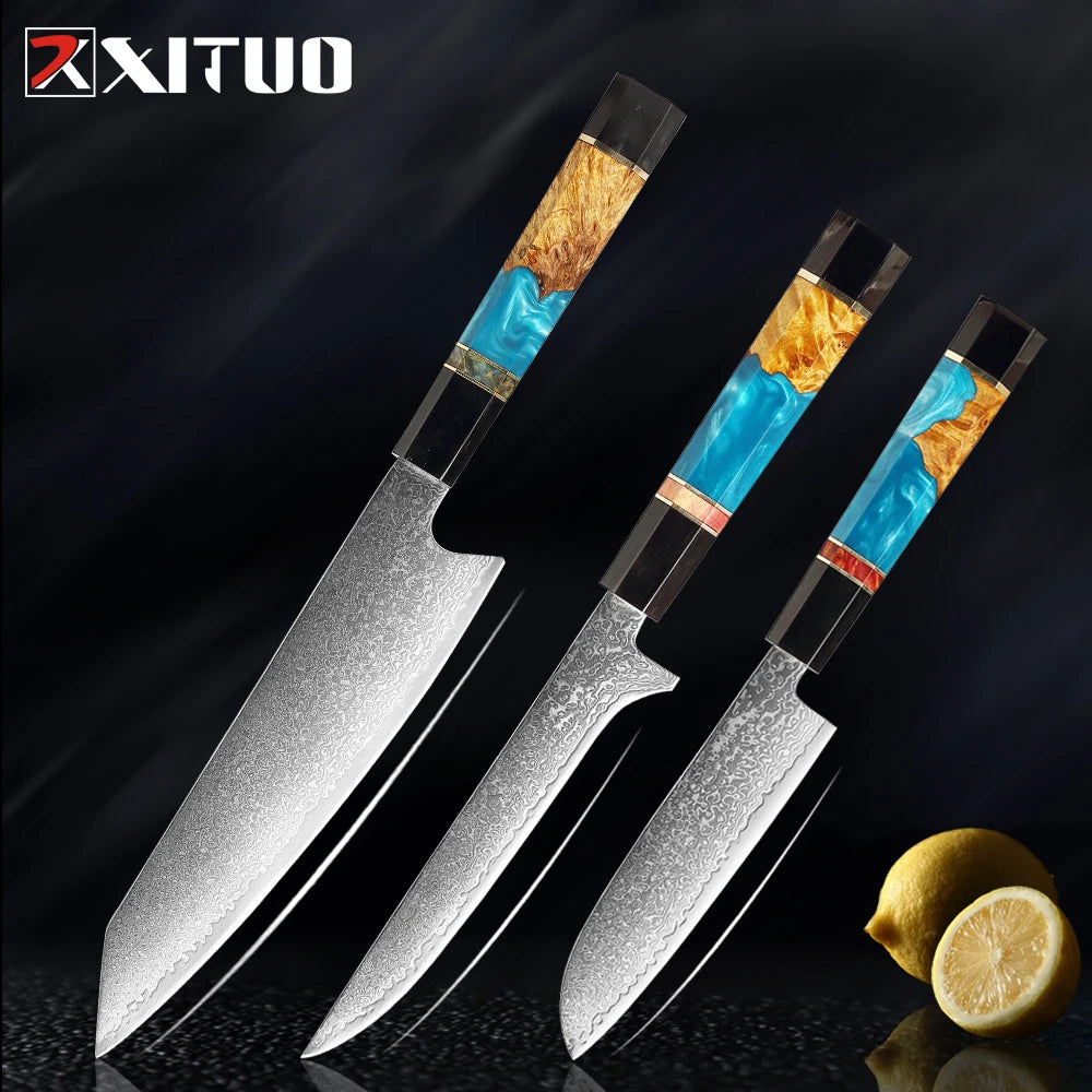 XITUO Damascus Steel Knife Set 1-5Pcs,Japanese Chef Knife,Super Sharp Kitchen Knives with Black Cow Horn Octagonal Handle