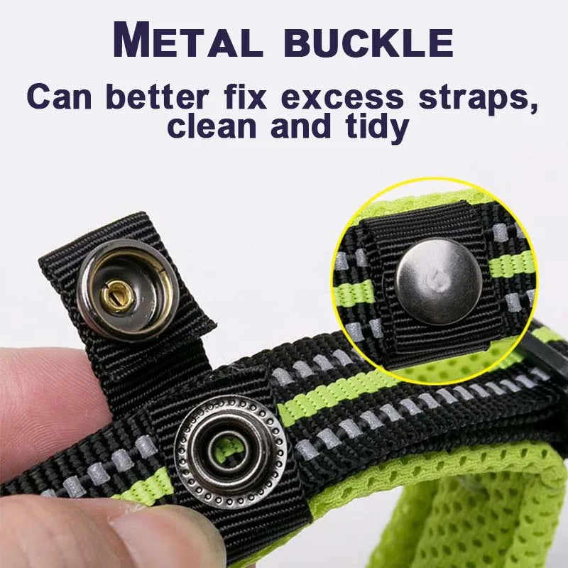 Winhyepet Padded Nylon Dog Walking Collar With Buckle