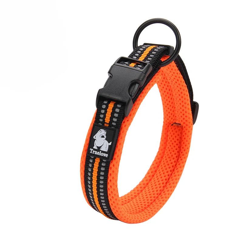 Winhyepet Padded Nylon Dog Walking Collar With Buckle