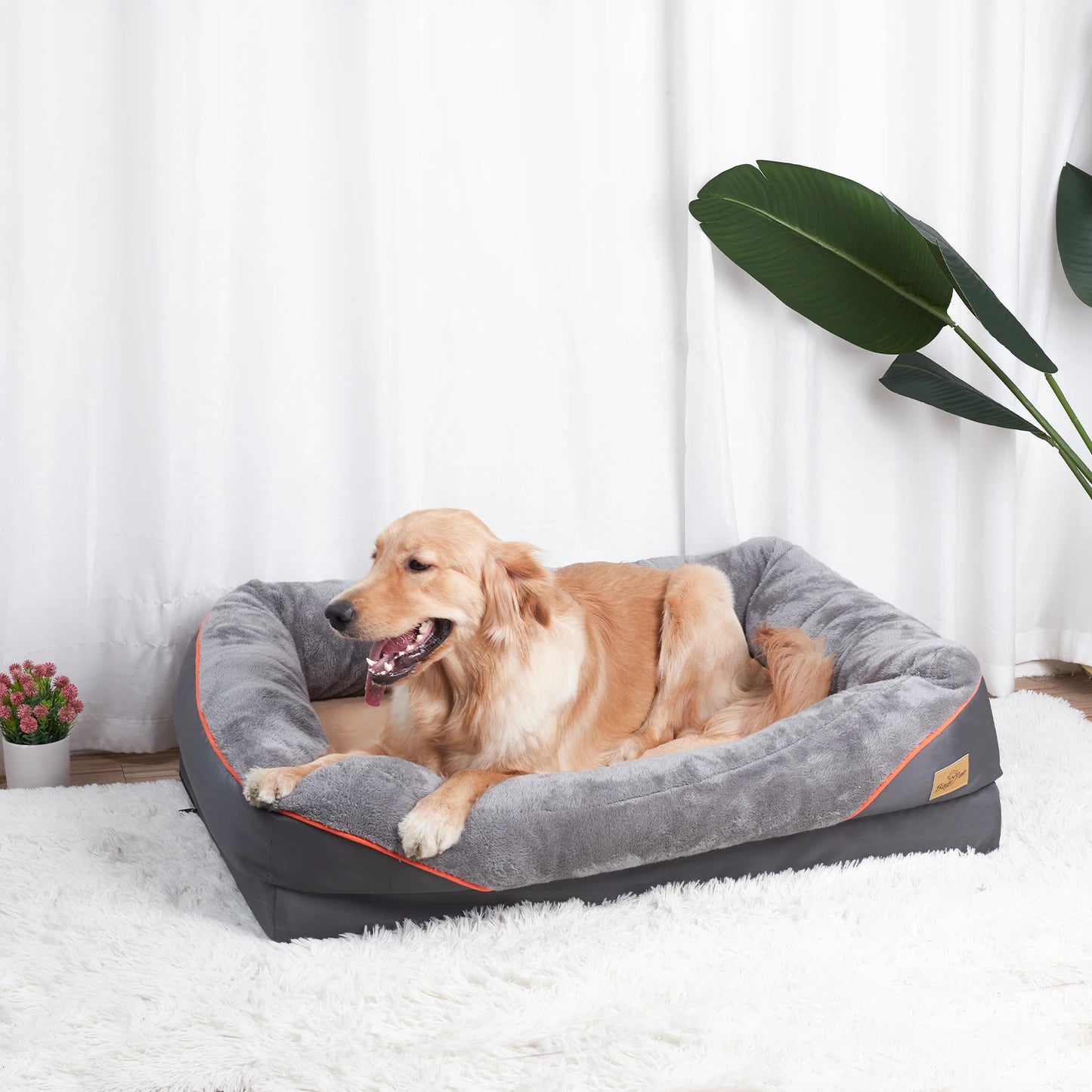 BINGOPAWCN Anti Allergy Waterproof Dog Bed With Removable Cover